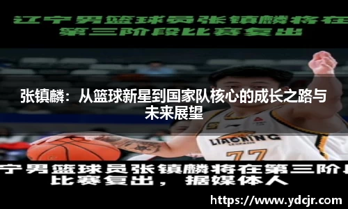 彩神VI首页官网