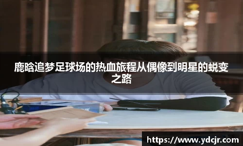 彩神VI首页官网